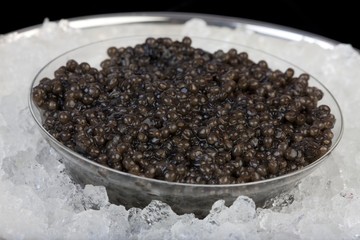 Caviar, Sturgeon's Eggs
