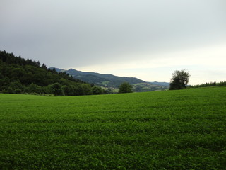Freiburg