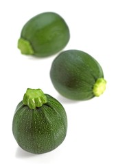 Round Courgette or Zucchini, cucurbita pepo against White Background
