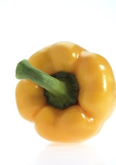 Sweet Yellow Pepper, capsicum annuum against White Background