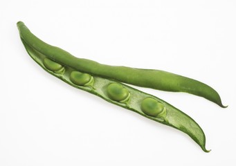 Fresh Broad Beans, vicia faba against White Background