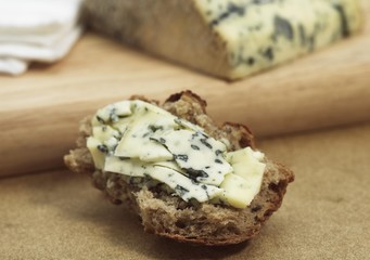 Bleu des Causses, a French Cheese produced from Cow's Milk in Aveyron