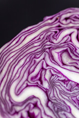 Obraz premium Purple cabbage macro close up on black background