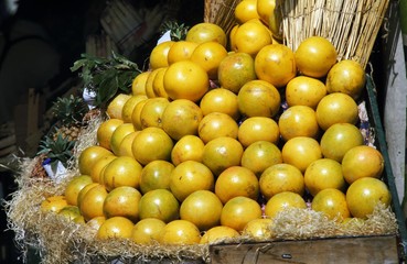 Grapefruits, citrus grandis at Fruit Market