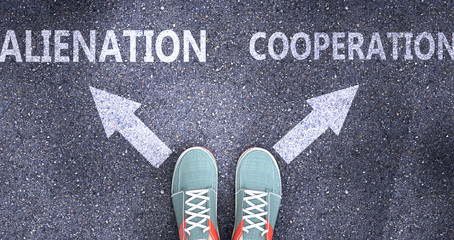 Alienation and cooperation as different choices in life - pictured as words Alienation, cooperation on a road to symbolize making decision and picking either one as an option, 3d illustration