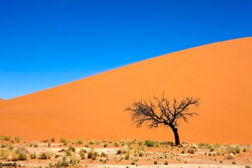 Fototapeta na wymiar Desert of Namib, Namib-Naukluft Park, Sossusvlei Dunes, the Dune 45, Namibia