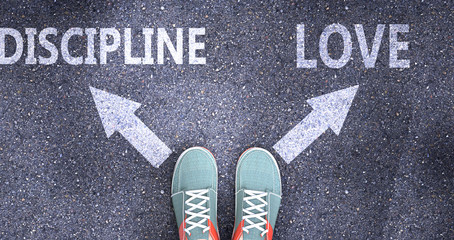 Discipline and love as different choices in life - pictured as words Discipline, love on a road to symbolize making decision and picking either Discipline or love as an option, 3d illustration
