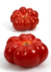 Camone Tomato, solanum lycopersicum against White Background