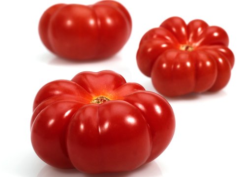 Camone Tomato, solanum lycopersicum against White Background