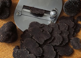 Perigord Truffle, tuber melanosporum