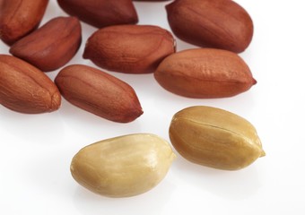 Obraz premium Peanuts, arachis hypogaea against White Background