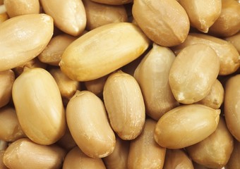 Peanuts, arachis hypogaea