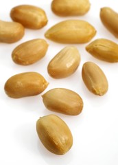 Peanuts, arachis hypogaea against White Background