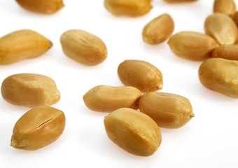 Fototapeta premium Peanuts, arachis hypogaea against White Background