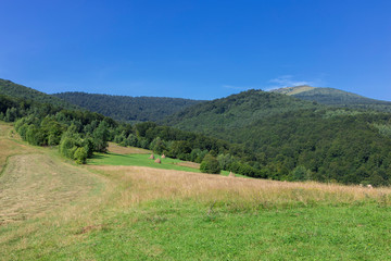 Fototapeta na wymiar Carpathians mountain landscape in nice day. Mountains and forest on a sunny summer day. Ukrainian Carpathians The main watershed, Mount Pikuy