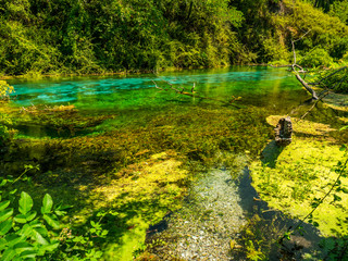Forest lake. The Stunning Lakes of Albania.