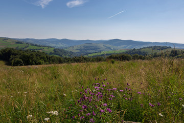 Mountain landscape of the Carpathians on a nice day. Mountains and forest on a sunny summer day. Ukrainian Carpathians The main watershed, Mount Pikuy