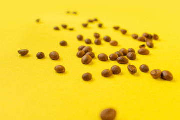 Obraz na płótnie Canvas close up of a coffee beans