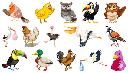 Set of different birds cartoon style isolated on white background