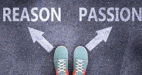 Reason and passion as different choices in life - pictured as words Reason, passion on a road to symbolize making decision and picking either Reason or passion as an option, 3d illustration