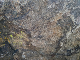 Texture of gray natural stone with lichen spots on the surface