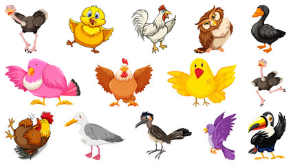 Obraz premium Set of different birds cartoon style isolated on white background