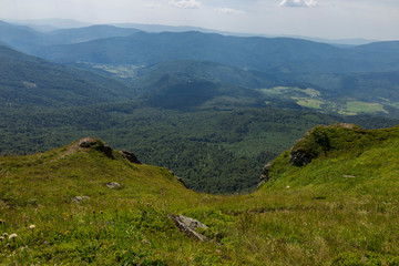 Fototapeta premium Flowering thickets Rosebay Willowherb (Chamerion angustifolium) on the background of the Carpathian mountains. Mountains and forest on a sunny summer day. Ukrainian Carpathians 