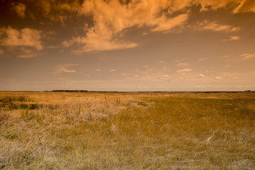 Fototapeta premium Mountains and desert landscapes in Badlands South Dakota 