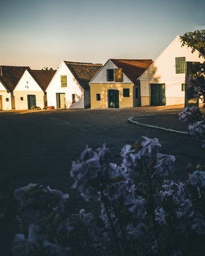 most beautiful wine route in Weinviertel, Austria