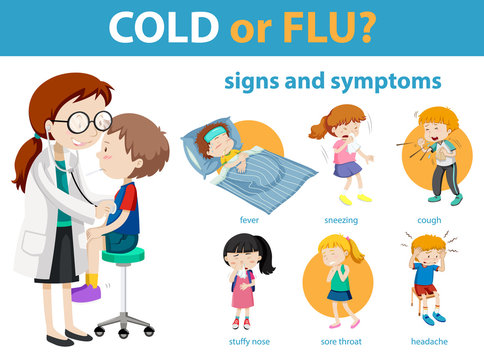 Medical infographic of cold or flu symptoms