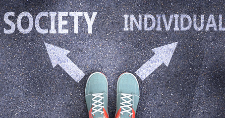 Society and individual as different choices in life - pictured as words Society, individual on a road to symbolize making decision and picking either one as an option, 3d illustration