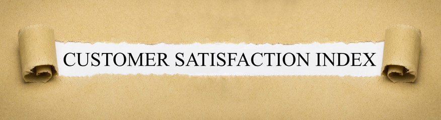 Customer Satisfaction Index