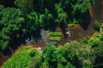 Aerial shot of forest river surrounded by greens and trees © Aleksandrs Muiznieks