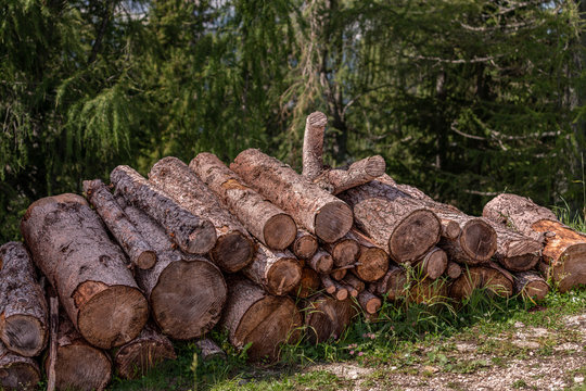 Legna e legname tagliato in tronchi da ardere, impilato, con sfondo di bosco verde e natura, legno biologico
