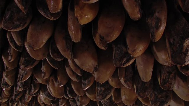 Jabugo hams curing cellar