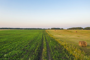 Country road in a green field near round haystacks