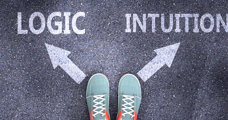 Logic and intuition as different choices in life - pictured as words Logic, intuition on a road to symbolize making decision and picking either Logic or intuition as an option, 3d illustration