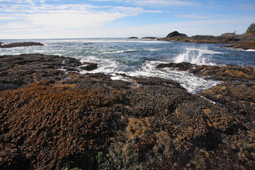 Vancouver Island. The rising tide