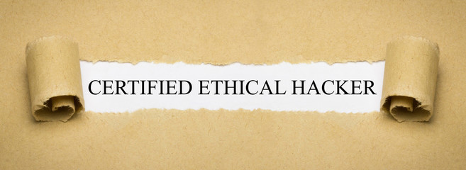 Certified Ethical Hacker