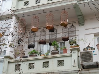 Bird in Cage, Old District of Hanoi, the 36 corporations District, Vietnam