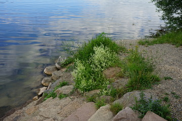 am Twistersee ein Stausee in Deutschland