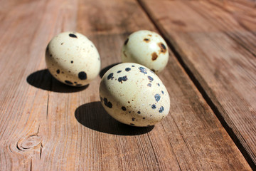 Obraz premium Close-up of quail eggs on wooden background. Natural hard light. Deep shadows