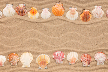 Two rows of seashells lying on the sand. Beautiful frame made of seashells with place for text.