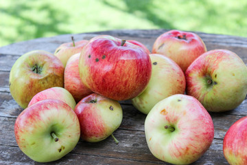Ripe, bright apples on the table in the garden