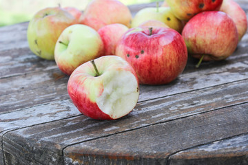 Ripe, bright apples on the table in the garden
