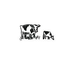 Cow illustration
