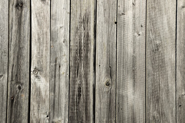 Weathered and faded from the sun wooden boards. Background from old, grey boards. A wall of an old shed in the bright sun.Aged wood texture.