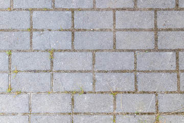 Abstract background - gray paving slabs in the form of squares. View from above.