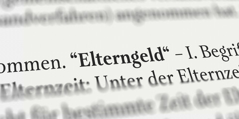 Elterngeld im Buch