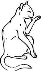 vector image of a cat in different angles